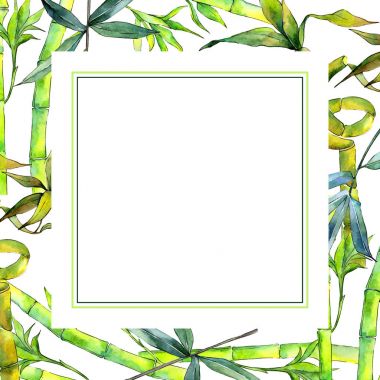 Tropikal bambu ağacı çerçeve suluboya tarzında.