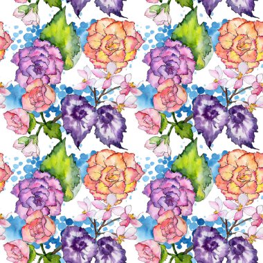 Kır çiçeği begonia çiçek deseni suluboya tarzında.