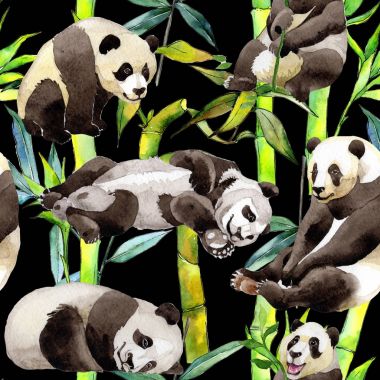Tropikal bambu ağacı ve panda desen suluboya tarzında.