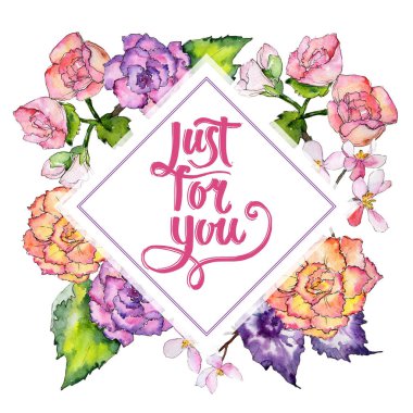 Kır çiçeği begonia çiçek çerçeve suluboya tarzında.