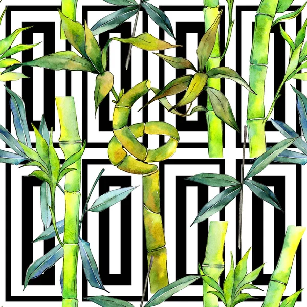 Tropical  bamboo tree pattern in a watercolor style. — Stock Photo, Image