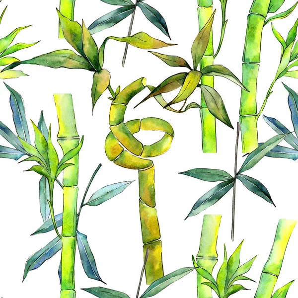 Patrón de árbol de bambú tropical en un estilo de acuarela . —  Fotos de Stock