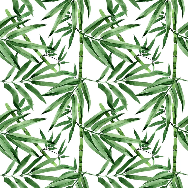 Tropical leaves bamboo tree pattern in a watercolor style.