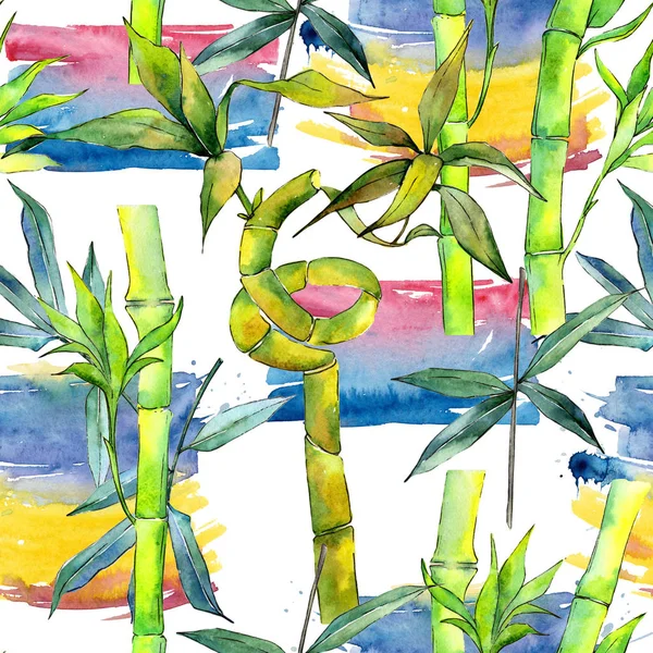 Tropická bambus strom vzor ve stylu akvarelu. — Stock fotografie