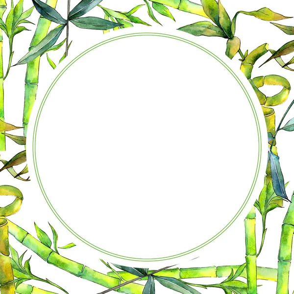 Tropical  bamboo tree frame in a watercolor style.