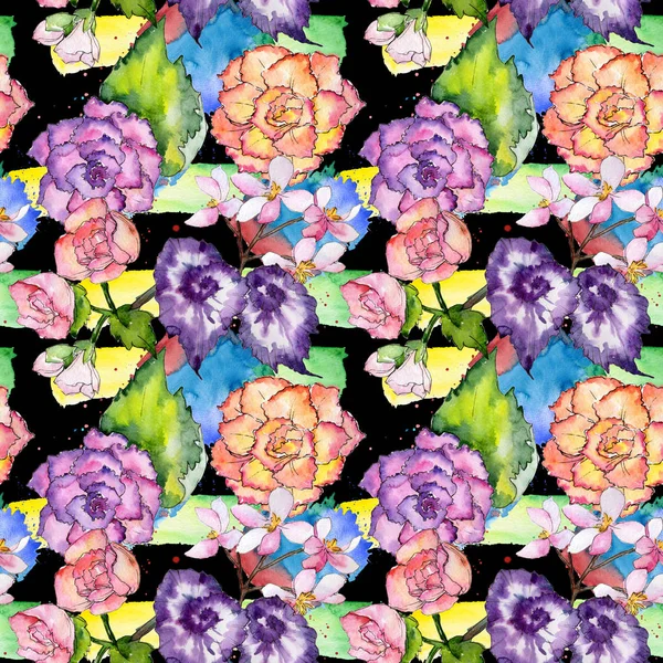 Wildflower μπιγκόνια λουλούδι μοτίβο σε στυλ υδροχρώματος. — Φωτογραφία Αρχείου