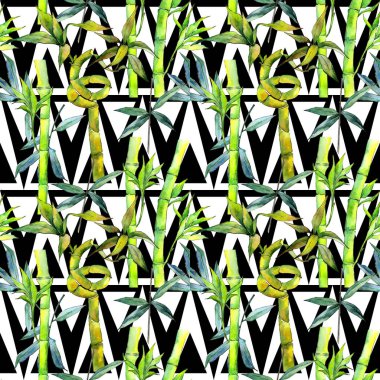 Tropikal bambu ağacı desen suluboya tarzında.