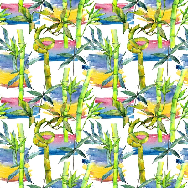 Tropical  bamboo tree pattern in a watercolor style. — Stock Photo, Image