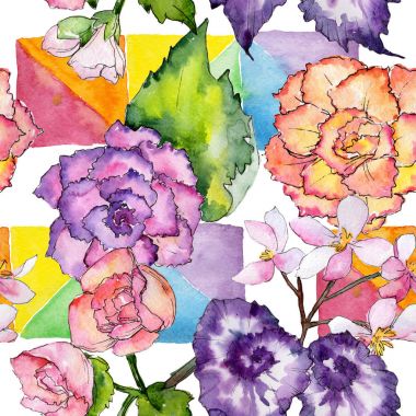 Kır çiçeği begonia çiçek deseni suluboya tarzında.