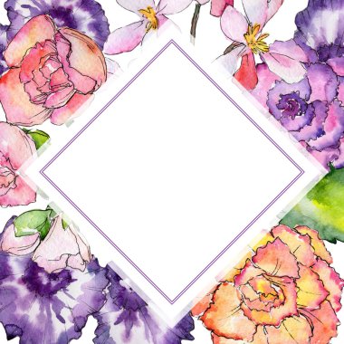 Kır çiçeği begonia çiçek çerçeve suluboya tarzında.