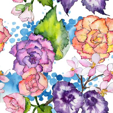 Kır çiçeği begonia çiçek deseni suluboya tarzında.