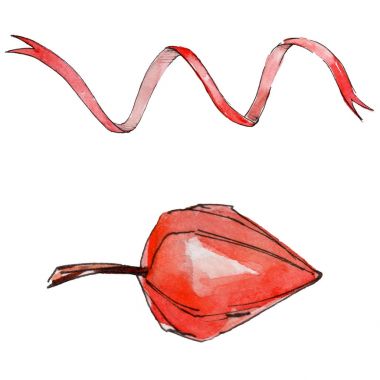 Physalis yabani meyve izole bir suluboya tarzında.