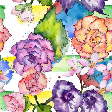 Kır çiçeği begonia çiçek deseni suluboya tarzında.