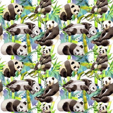 Tropikal bambu ağacı ve panda desen suluboya tarzında.