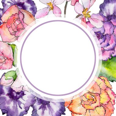 Kır çiçeği begonia çiçek çerçeve suluboya tarzında.