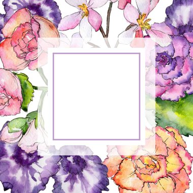 Kır çiçeği begonia çiçek çerçeve suluboya tarzında.