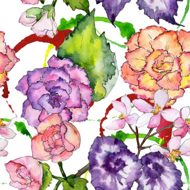 Kır çiçeği begonia çiçek deseni suluboya tarzında.