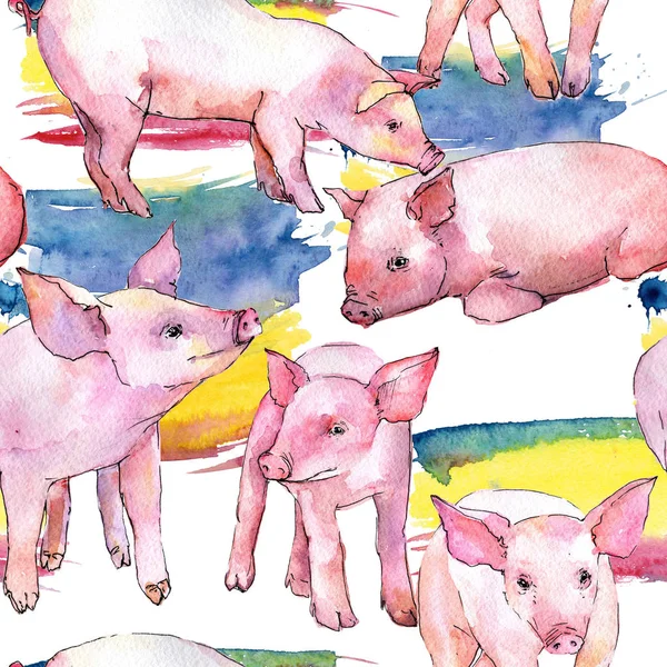 Pig wild animal pattern in a watercolor style. — Stock Photo, Image