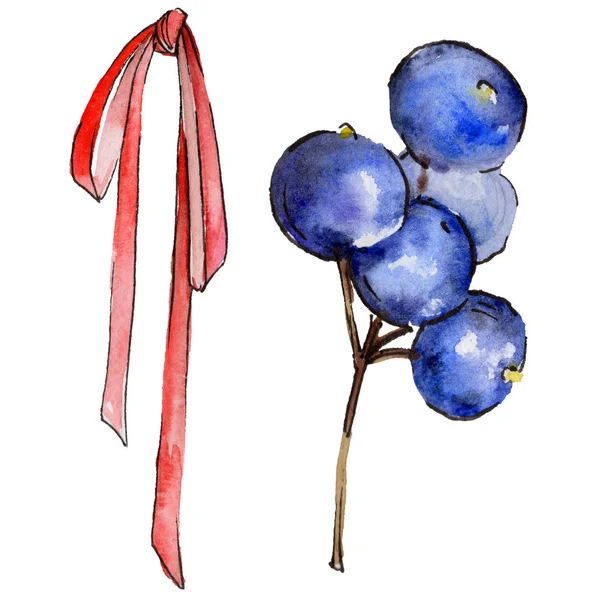 Blueberry wild fruit in a watercolor style isolated. — Stock Photo, Image