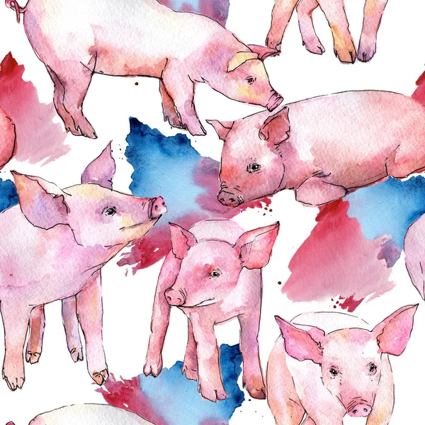 Pig wild animal pattern in a watercolor style. — Stock Photo, Image
