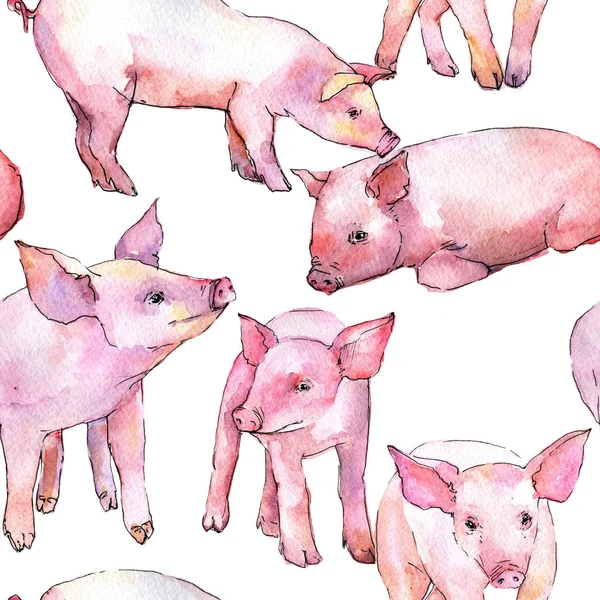 Pig wild animal pattern in a watercolor style. — Stock Photo, Image