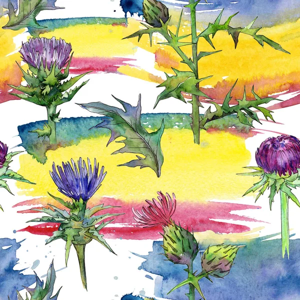 Wildflower thistle květinový vzor ve stylu akvarelu. — Stock fotografie