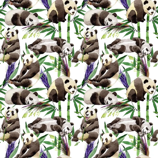 Tropical mix bamboo tree and panda pattern in a watercolor style. — Stock Photo, Image