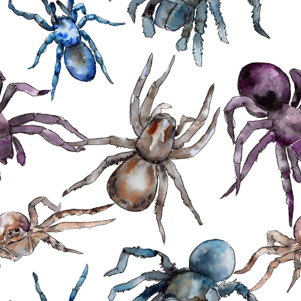 Екзотичний візерунок дикої комахи тарантули в акварельному стилі . — стокове фото