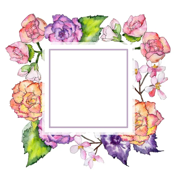 Moldura de flor de begônia de flores silvestres em um estilo aquarela . — Fotografia de Stock