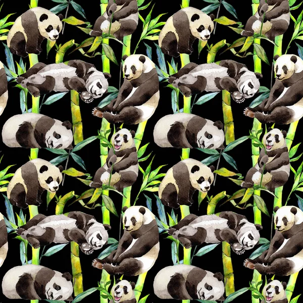 Árbol de bambú tropical y patrón de panda en un estilo de acuarela . —  Fotos de Stock