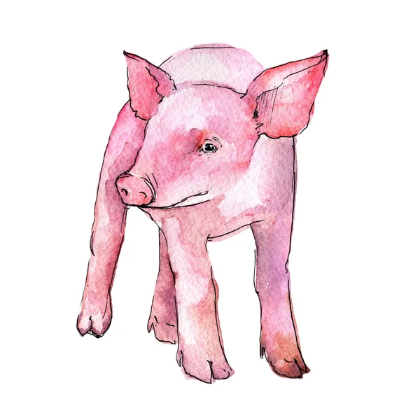 Dzikie zwierzę świnia w stylu przypominającym akwarele na białym tle. — Zdjęcie stockowe
