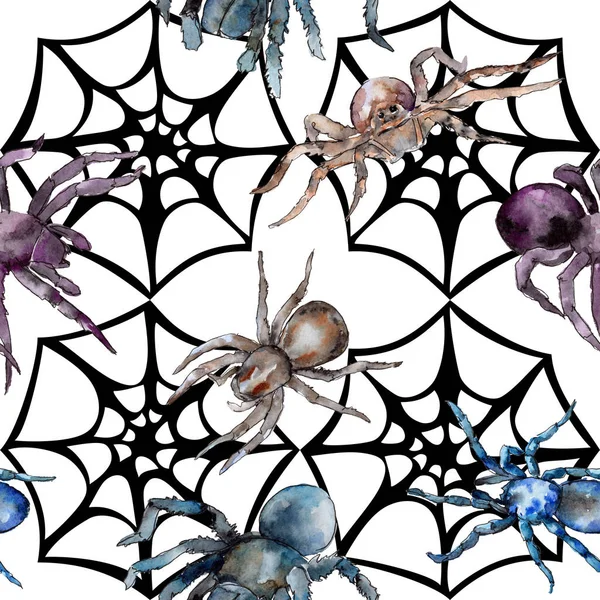 Exotic tarantula wild insect pattern in a watercolor style. — Stock Photo, Image