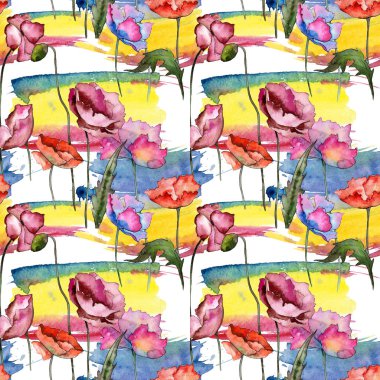 Kır çiçeği haşhaş çiçek deseni suluboya tarzında.