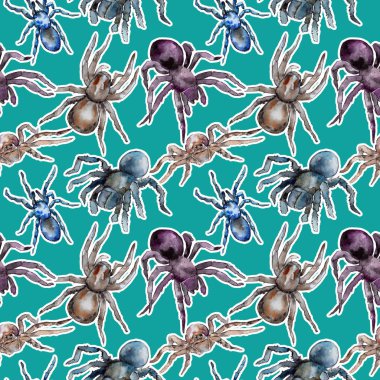 Egzotik tarantula vahşi böcek desen suluboya tarzında.