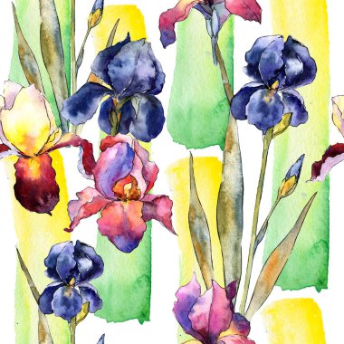 Kır çiçeği renkli iris çiçek deseni suluboya tarzında.