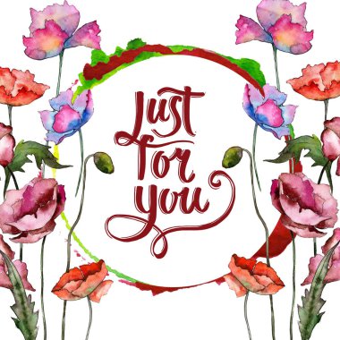 Kır çiçeği haşhaş çiçek izole bir suluboya tarzında.