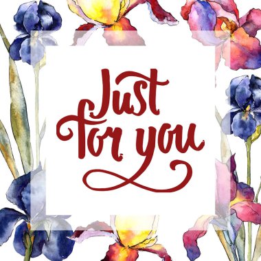 Kır çiçeği renkli iris çiçek çerçeve suluboya tarzında.