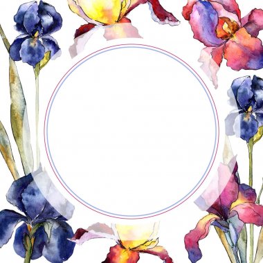 Kır çiçeği renkli iris çiçek çerçeve suluboya tarzında.