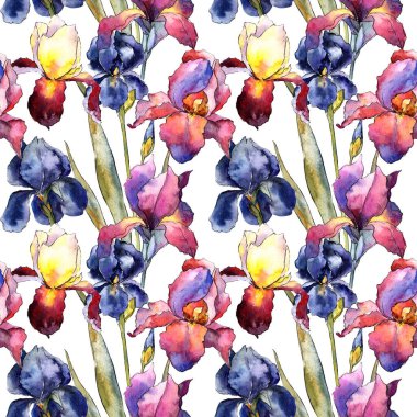 Kır çiçeği renkli iris çiçek deseni suluboya tarzında.