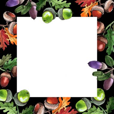 Orman meşe palamudu çerçeve bir el suluboya tarzı çizilmiş.