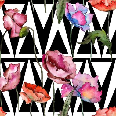 Kır çiçeği haşhaş çiçek deseni suluboya tarzında.