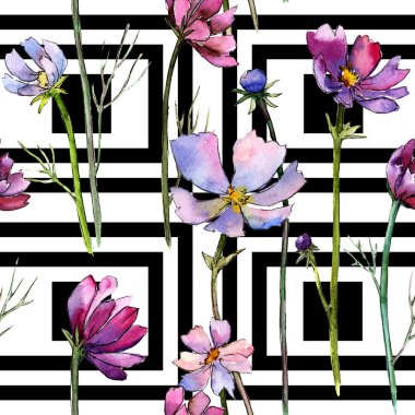 Kır çiçeği aster çiçek deseni suluboya tarzında.