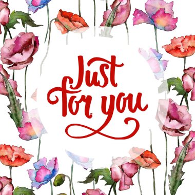 Kır çiçeği haşhaş çiçek çerçeve suluboya tarzında.