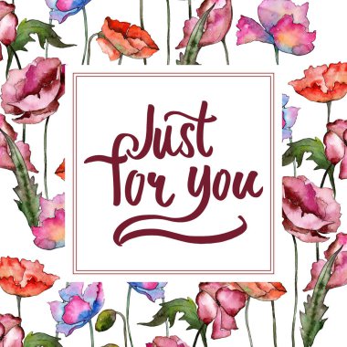 Kır çiçeği haşhaş çiçek çerçeve suluboya tarzında.