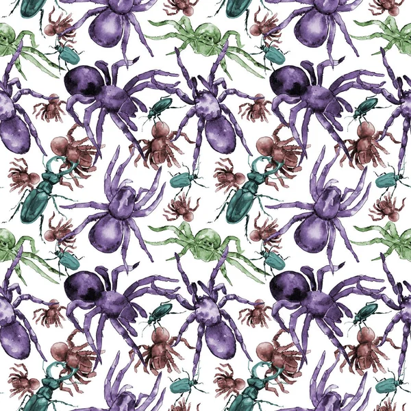 Exotic tarantula wild insect pattern in a watercolor style. — Stock Photo, Image