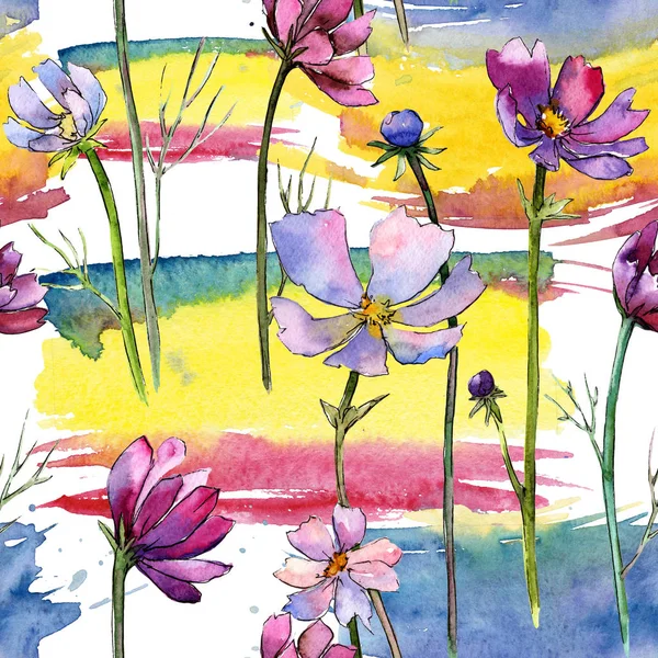 Wildflower aster flower pattern in a watercolor style.