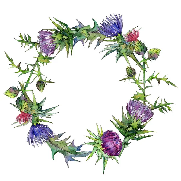 stock image Wildflower thistle flower wreath in a watercolor style.