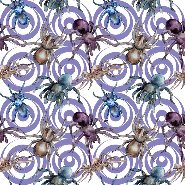 Exotic tarantula wild insect pattern in a watercolor style. — Stock Photo, Image