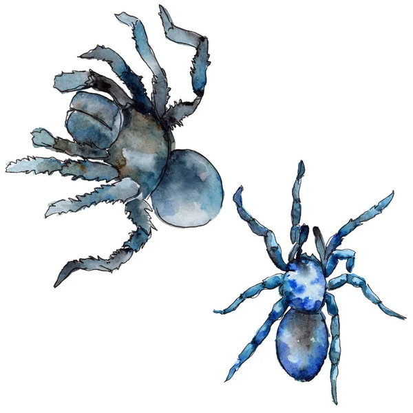 Екзотичні тарантули дикі комахи в акварельному стилі ізольовані . — стокове фото