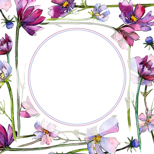 Wildflower aster flower frame in a watercolor style.